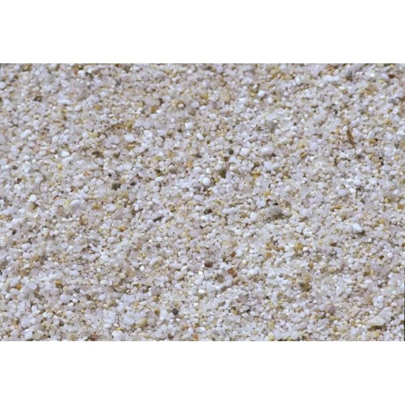 San Marco Piscina Interrata Circolare 800x150cm Accessoriata 9 San Marco Piscina Interrata Circolare 800x150cm Accessoriata - immagine 7